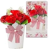 母の日 早割 花ギフト 2018 プレゼント カーネーション 花束 クリアーケースに入ってそのまま飾れる 贈り物 発表会(母の日 花 パール付/レッド)