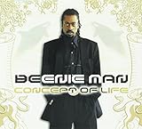 �R���Z�v�g�E�I�u�E���C�t