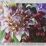 FLAP YOUR SOUND selected SMOOTH J Vol.1