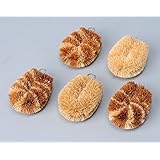 ミニパームたわし 5個組