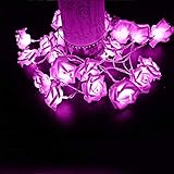RaiFu ストリングスライト ロマンチック シミレートローズ形状 文字列ライト ホーム パーティー 祝祭 装飾 クリスマスの装飾 クリスマス ギフト 5M 50LED ピンク