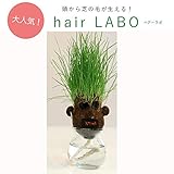 hair LABO boys（ヘアーラボ・ボーイズ）底面給水タイプ：サングラス[頭から芝が生える！] ノーブランド品