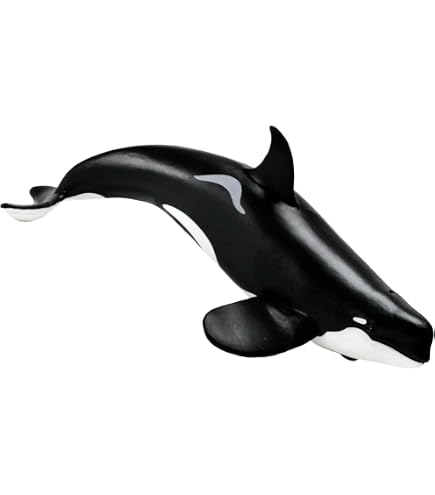 Amazon.co.jp: Papo(パポ) シャチ PVC PA56000 : Hobbies