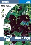 英国ミスターフォザーギルズシード＆ジョンソンシードHollyhock nigra ホリホック・ニグラ