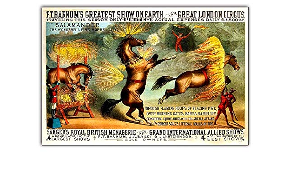 大割引 広告ポスター サーカス アンティーク 1956年 印刷物