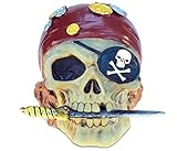 Money Bank海賊スカル手作りテーブルトップ樹脂 – Piratesテーママルチカラー – ユニークなエレガントなギフト、お土産by mozlly