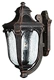 Hinkley Lighting 1315MO Trafalgar Outdoor Light, Mocha [並行輸入品]