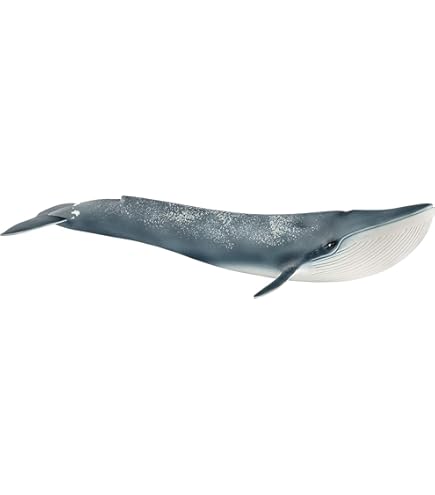 Amazon.co.jp: サファリ社フィギュア 112889 ワイルドライフワンダーズ