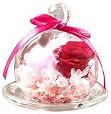 TEATSIGHT プリザーブドフラワー (ピンク×ピンク) クリアケース入り