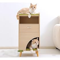 51LHRu9tvBL._AC_UL210_SR210,