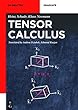 Tensor Calculus (De Gruyter Textbook)