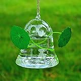 SHINA 2個セット ハンギング ガラス 花瓶 水栽培ポット 観葉植物 水耕栽培植物 ホームデコレーション