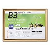 大仙 額縁 賞状額 金消 R B3 樹脂製 シュリンクパック J045B4400