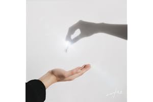 204号室