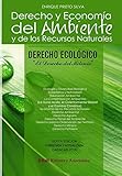 DERECHO ECOLOGICO - Derecho y Economia del Ambiente y de los RRNN (Spanish Edition)