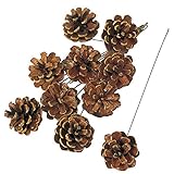 大地農園 ドライフラワー 松カサ ステム付 ミニ (10コ入り) DO024210-000