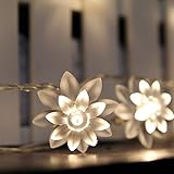 ER CHEN(TM) Battery Operated Indoor and Outdoor 60 LED Lotus Flower Fairy Lights on 22ft PVC string 