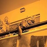 �U�E���p�u���b�N