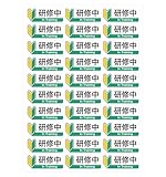 研修中シール 防水 初心者マーク 再剥離ステッカー 52×20mm 30片(30面付け1シート) 若葉マーク 曲面対応 業務用 名札 ヘルメット 制服 NYANDELMO ND-0260-R01-1sheet