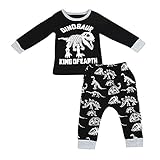 Tovadoo 子供服 ベビー服 男の子 トップス+ズボン セットアップ 長袖 秋冬 恐竜柄 ダイナソー カジュアル パジャマ 部屋着 保育園