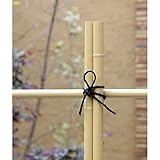 エコ竹 直径1cm 長さ183cm 20本セット[生垣・支柱に！] ノーブランド品