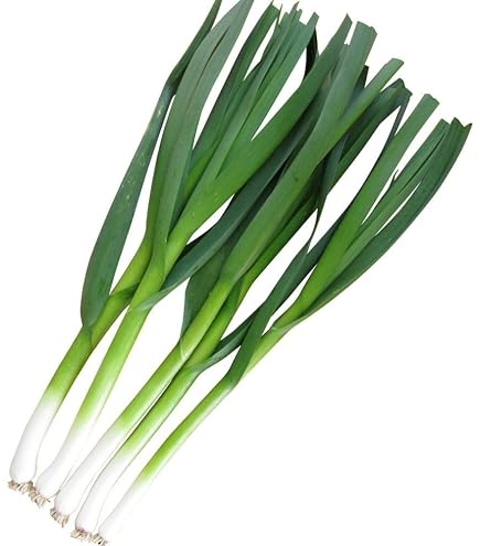 Amazon.co.jp: 種ニンニク 国産 葉にんにく 葉ニンニク 100g（夏