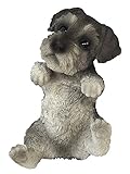 ガーデン オブジェ・置物 ハンギングタイプ （シュナウザー） QYL1127