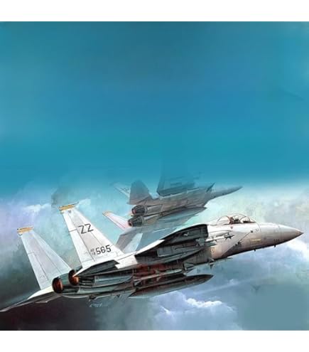 Amazon | 【1】 童友社 1/144 現用機コレクション 第7弾 制空の鷲 F