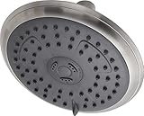 Delta RP62171BN Porter Showerhead, Brushed Nickel [並行輸入品]