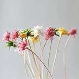 【Blooming＆me】上質の国内産 フラワーデザイナー推薦 ミニコーンフラワー 40本入＋他種類のドライフラワーをおまけで2本！ ハーバリウムに大人気 「選べるカラー全４色」（ ハーバリウム キャ