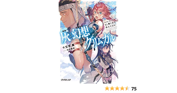 灰と幻想のグリムガル Level 14 もし君とまた会えたなら オーバーラップ文庫 十文字青 白井鋭利 本 通販 Amazon