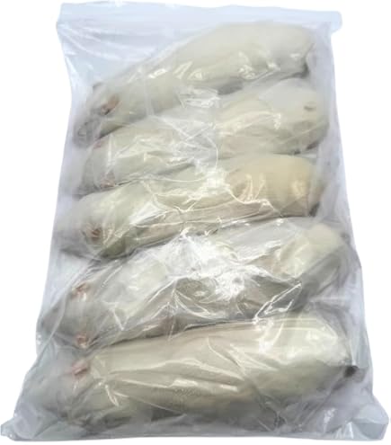 Amazon | 【国産】冷凍ラット アダルトラット LL（300〜400g）爬虫類