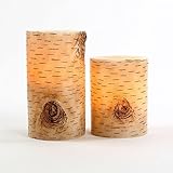 Birch Tree and Wreath Set of 2 4" and 6" ブラウン LC003174