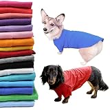 24HOURS ダックスフンド Tシャツ 綿100% 無地 日替わり シンプル コットン KM045TS-DAX 首回り(20-32cm) 胸囲(33-40cm) DSサイズ A : ホワイト