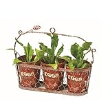 東洋石創　プラントアイテム　Waterring　Can　ハンギングポット　　●82252　　※商品に