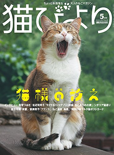猫びより 2017年 05 月号