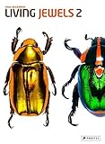 Living Jewels 2: The Magical Design of Beetles