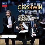 �K�[�V���E�B��:���v�\�f�B�[�E�C���E�u���[�A�s�A�m���t�� �w���A��