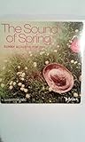 The Sound of Spring 2011 (sunny Acoustic Pop)