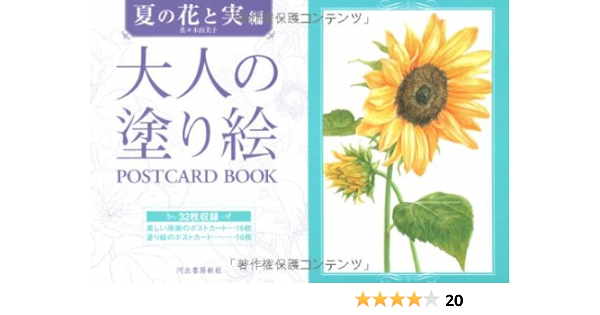 大人の塗り絵 Postcard Book 夏の花と実編 佐々木由美子 本 通販 Amazon