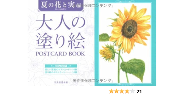 大人の塗り絵 Postcard Book 夏の花と実編 佐々木由美子 本 通販 Amazon