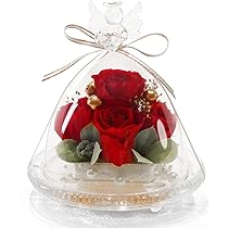 【在庫処分】IPFA プリザーブドフラワー ガラスドーム エンジェル プレミアム 51LVq2MV5JL._AC_UL210_SR210,
