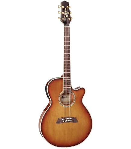 Takamine アコースティックギター Amazon.co.jp: Takamine タカミネ G Series Dreadnought Solid Top