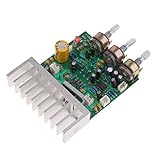 Baoblaze デュアル　チャンネル　ハイファイ　ステレオ　アンプボード　12V 7190　ローノイズ　エンハンスド　バージョン