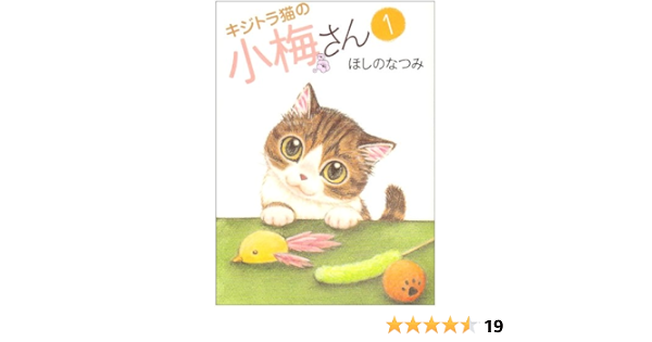 キジトラ猫の小梅さん 1 ねこぱんちコミックス ほしの なつみ 本 通販 Amazon