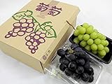 産地厳選 食べ比べ ”シャインマスカット＆ナガノパープル” 秀品 2房 合計約1kg（冷蔵便）...