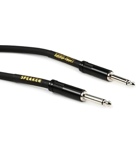 Amazon.co.jp: Bugera POWER SOAK PS1 パッシブ 100 ワット パワー