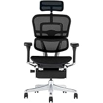 エルゴヒューマン プロ オットマン内蔵型 ヘッドレスト有り　ブラック エルゴヒューマン プロ / オットマン内蔵型 / ヘッドレスト有り