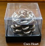 ~Coco Heart~　パインコーンキャンドル (クリスマス・リース・プリザ・ドライフラワー）