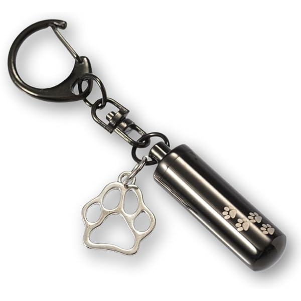 Amazon.co.jp: Pettieland 遺骨 カプセル キーホルダー ネックレス